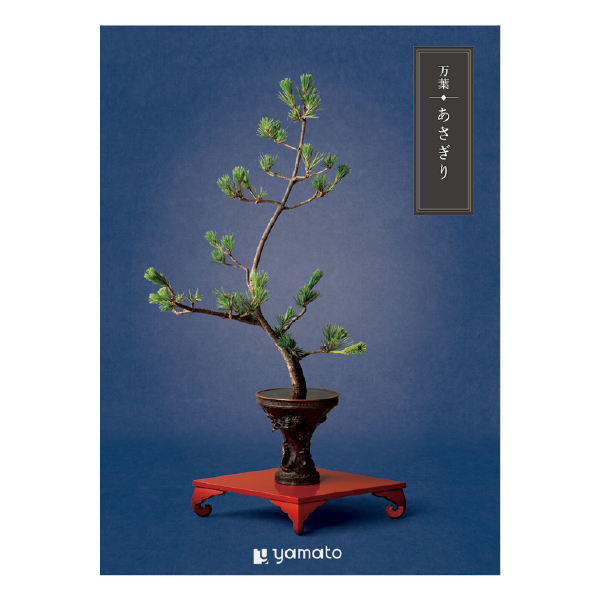 �J�^���O�M�t�g ���t ��������